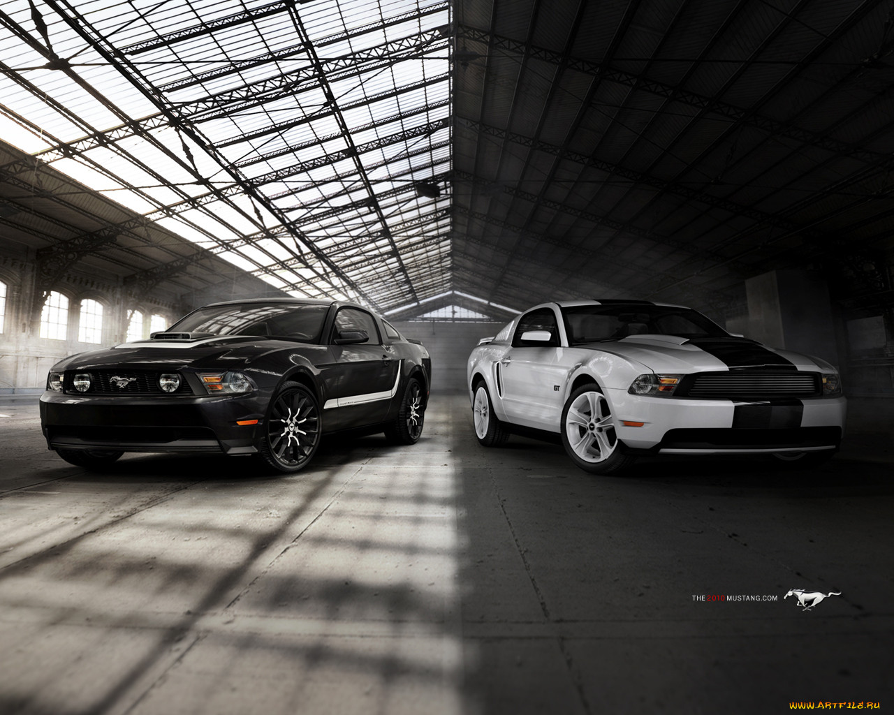 , mustang